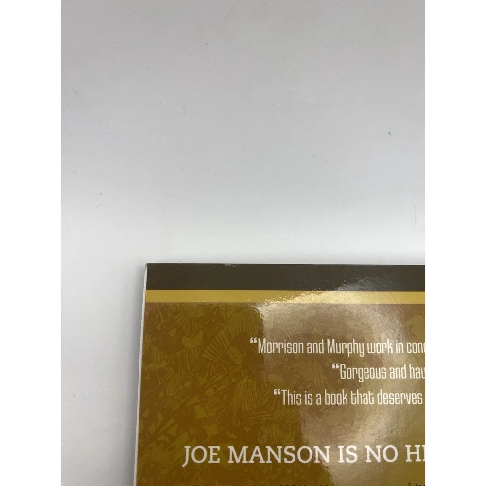 Joe the Barbarian Graphic Novel Grant Morrison Sean Murphy‎ Vertigo TPB